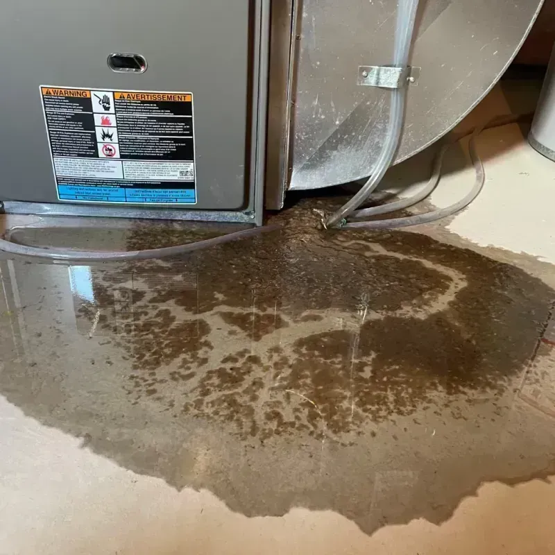 Appliance Leak Cleanup in Glendale Heights, IL